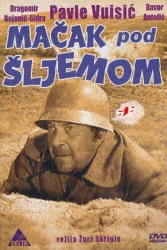 Cat Under a Helmet movie poster