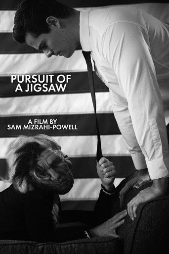 Pursuit Of A Jigsaw movie poster