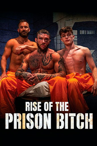 Rise of the Prison Bitch movie poster