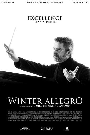 Winter Allegro movie poster