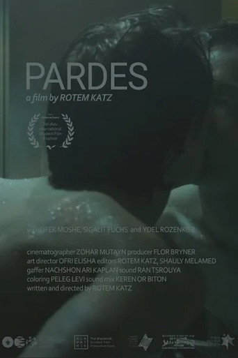 Pardes movie poster