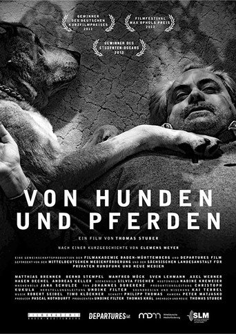 Of Dogs and Horses movie poster