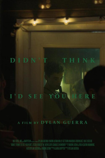Didn't Think I'd See You Here movie poster
