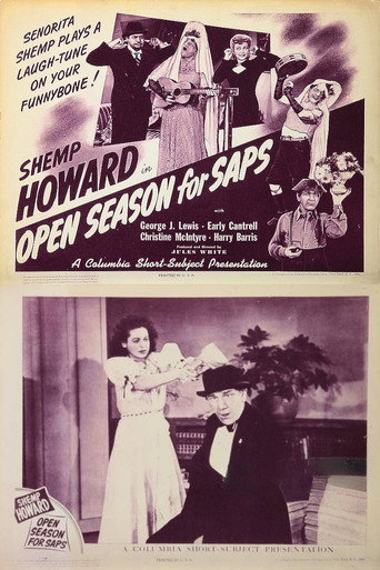 Open Season for Saps movie poster