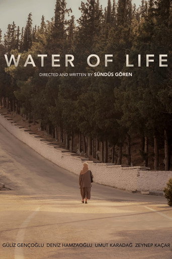 Water of Life movie poster