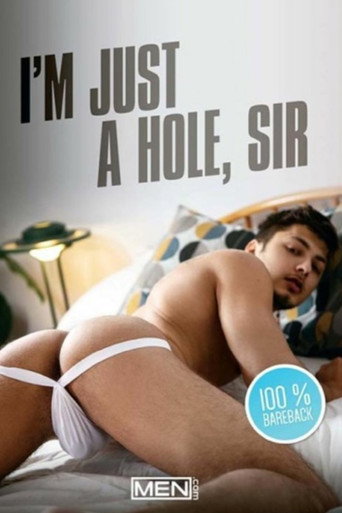 I'm Just A Hole, Sir movie poster