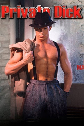 Private Dick movie poster