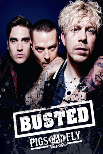 Busted: Pigs Can Fly Tour 2016 movie poster