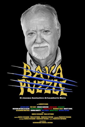 Bava Puzzle movie poster