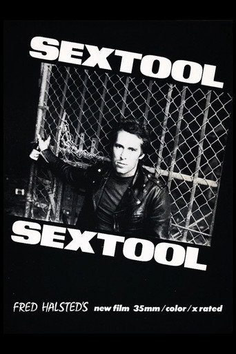 Sextool movie poster