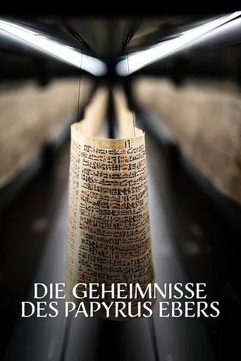 Magie & Medizin - Die Geheimnisse des Papyrus Ebers movie poster