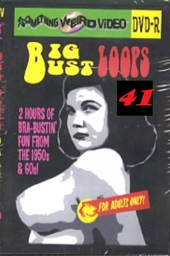 Big Bust Loops 41 movie poster