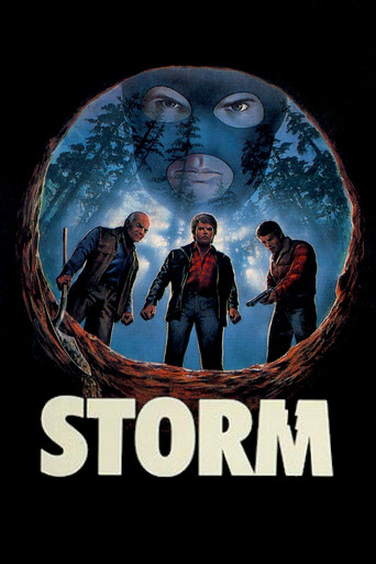 Storm movie poster