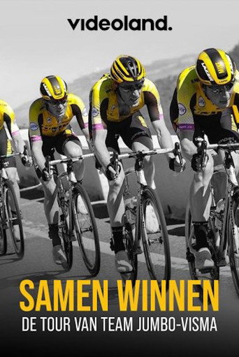 Samen Winnen movie poster