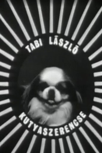 Kutyaszerencse movie poster