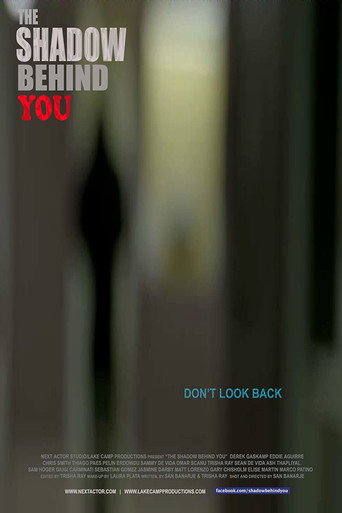 The Shadow Behind You movie poster