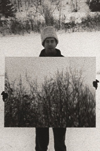 Mirror movie poster