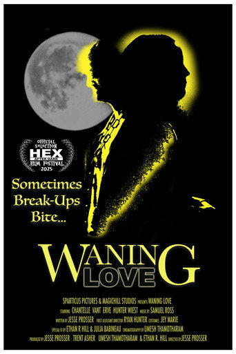 Waning Love movie poster
