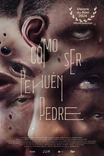 How to Be Pehuén Pedre movie poster