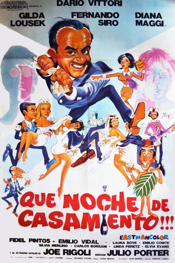 ¡Qué noche de casamiento! movie poster
