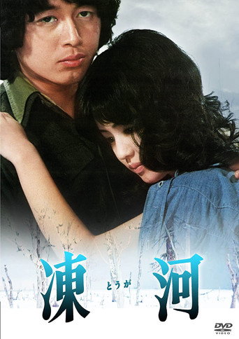 Frozen River movie poster