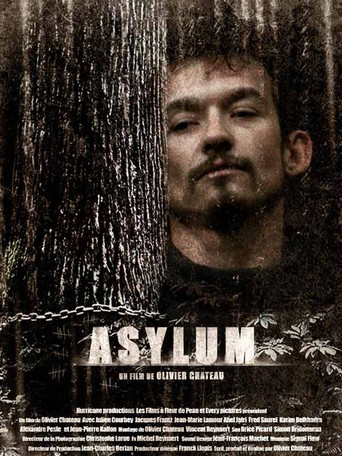 Asylum movie poster