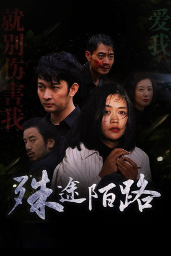 殊途陌路 movie poster