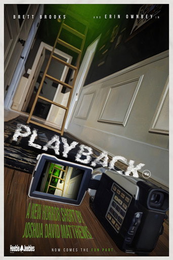 Playback movie poster