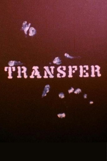 Transfer movie poster