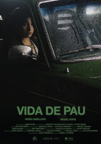 Vida de pau movie poster