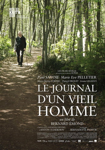 The Diary of an Old Man movie poster