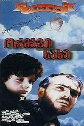 Double Face movie poster