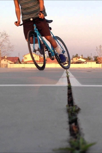fixie movie poster