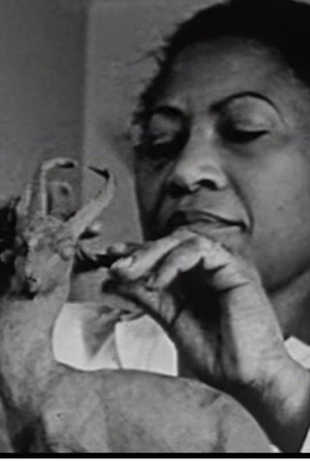 A Study of Negro Artists movie poster