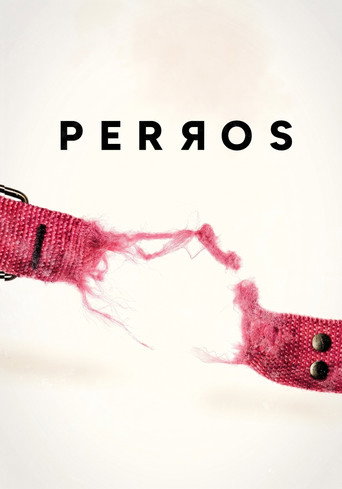 Perros movie poster