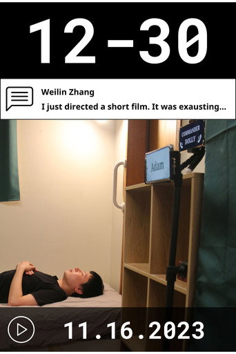 12-30 movie poster