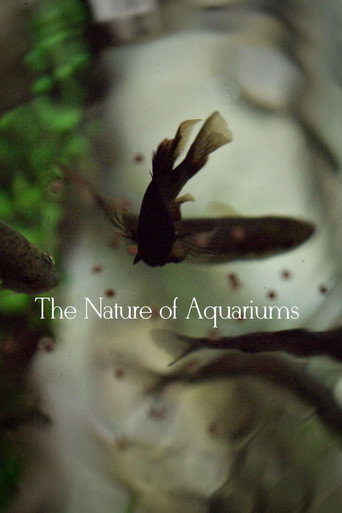 The Nature of Aquariums movie poster