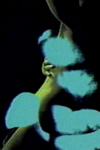 Letter to a Lover movie poster
