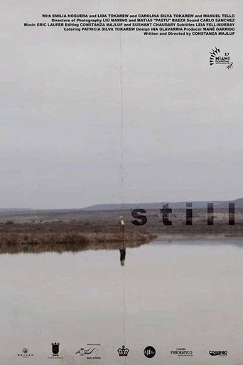 Still movie poster