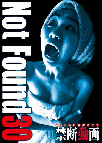 Not Found 30 movie poster
