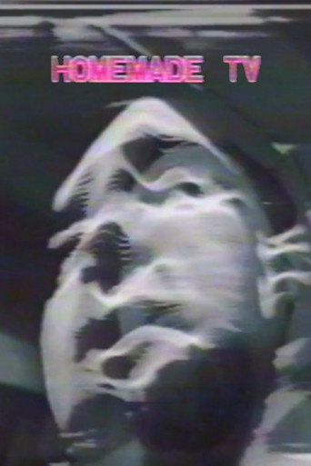 Homemade TV: Vasulkas II movie poster