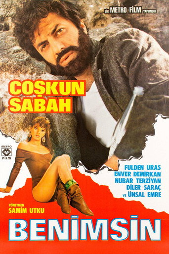 Benimsin movie poster