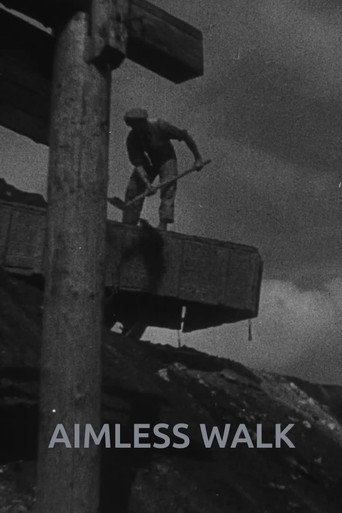 Aimless Walk movie poster
