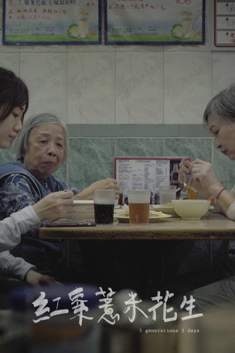 3 Generations 3 Days movie poster