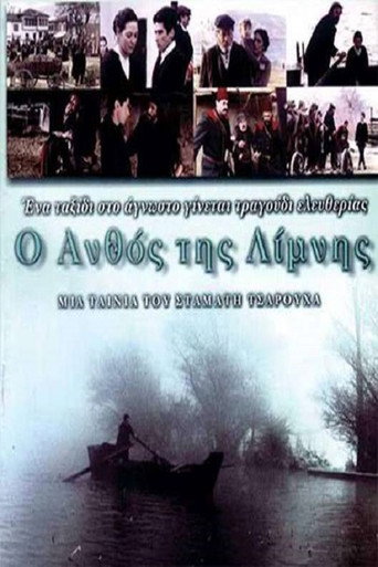 The Flower of the Lake movie poster