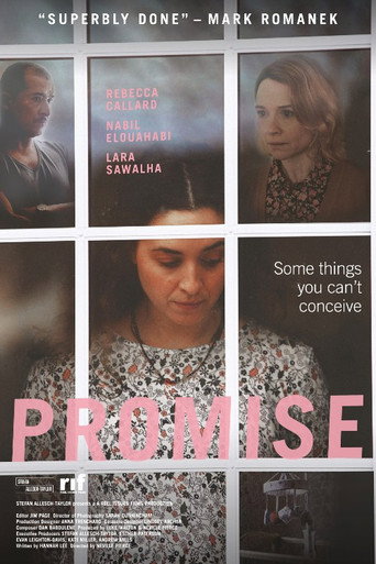 Promise movie poster