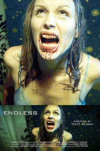 Endless movie poster