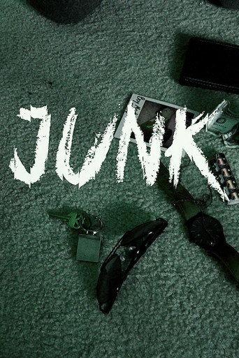 Junk movie poster