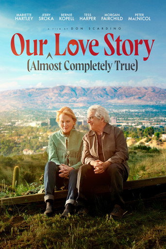 Our (Almost Completely True) Love Story movie poster