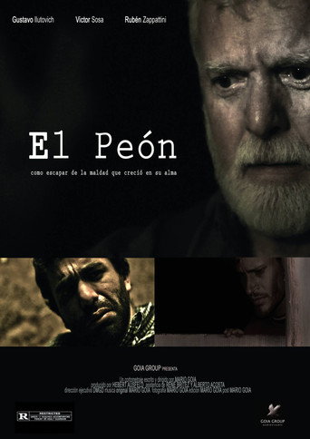 The Pawn movie poster